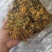 贵州金银花，产地直销规格齐全，一手货源，量大从优