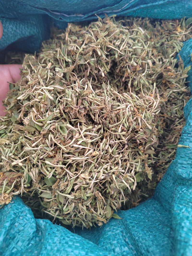 贵州金银花，产地直销规格齐全，一手货源，量大从优