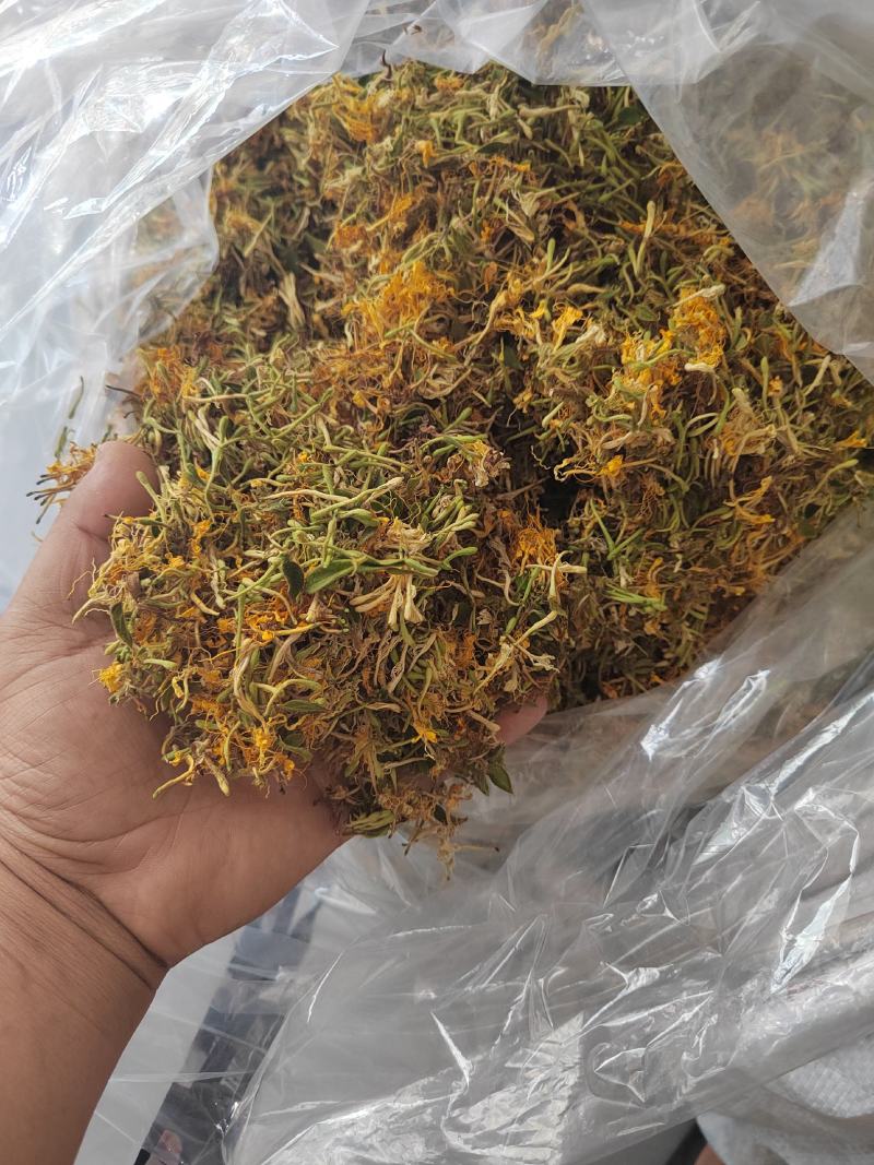贵州金银花山银花，无硫，晒花，货足，质量保证