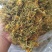 贵州金银花山银花，无硫，晒花，货足，质量保证