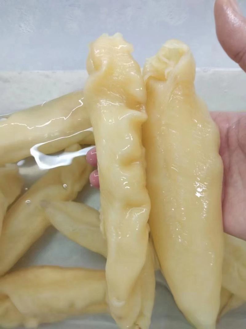 黄花胶各种规格30头和80头老胶需要的下单量大优惠