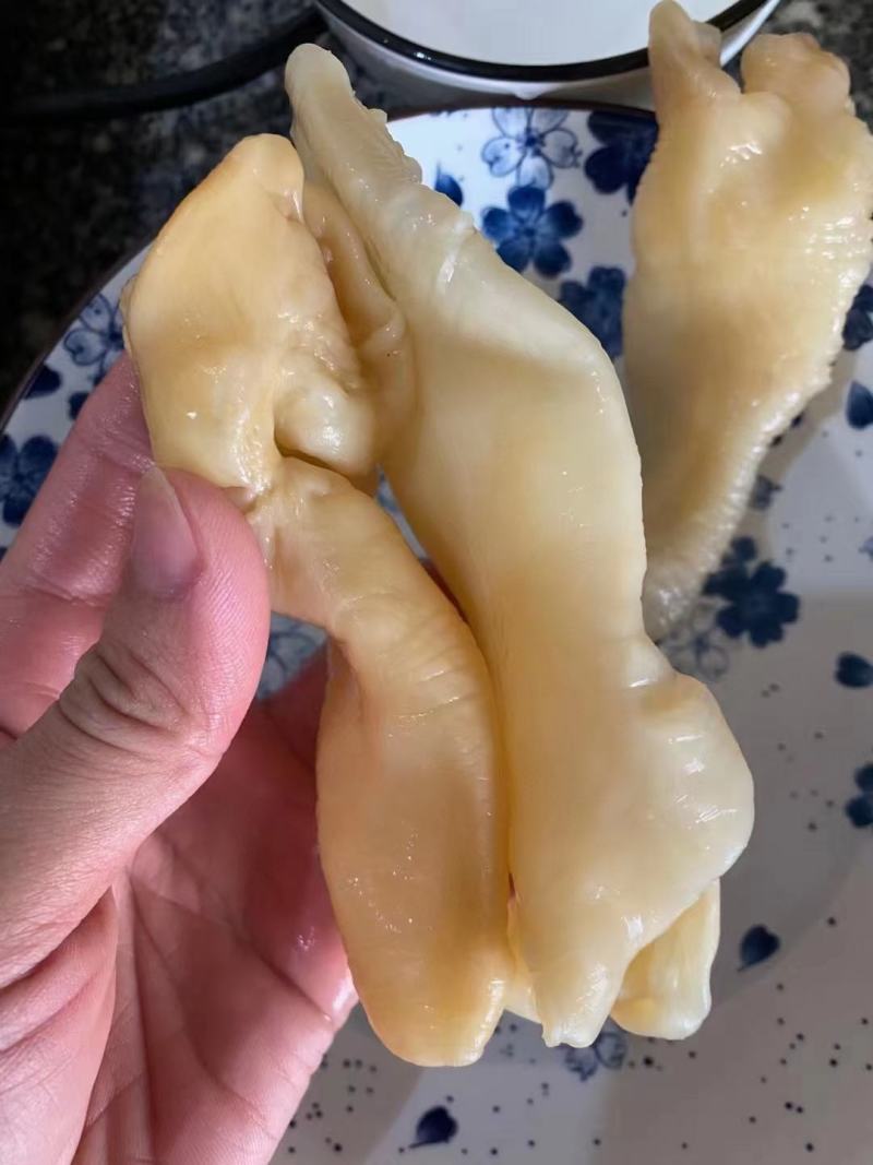 黄花胶各种规格30头和80头老胶需要的下单量大优惠