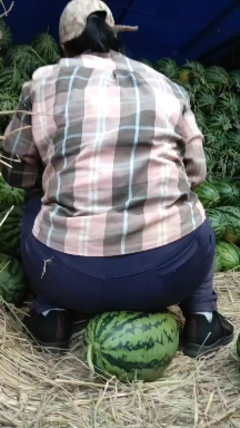 低价炸街货电商瓜，黑美人，绿裳，甜王，美都，无子西瓜等。