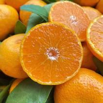 湖南蜜橘精品南丰蜜橘大量上市酸甜可口，量大从优