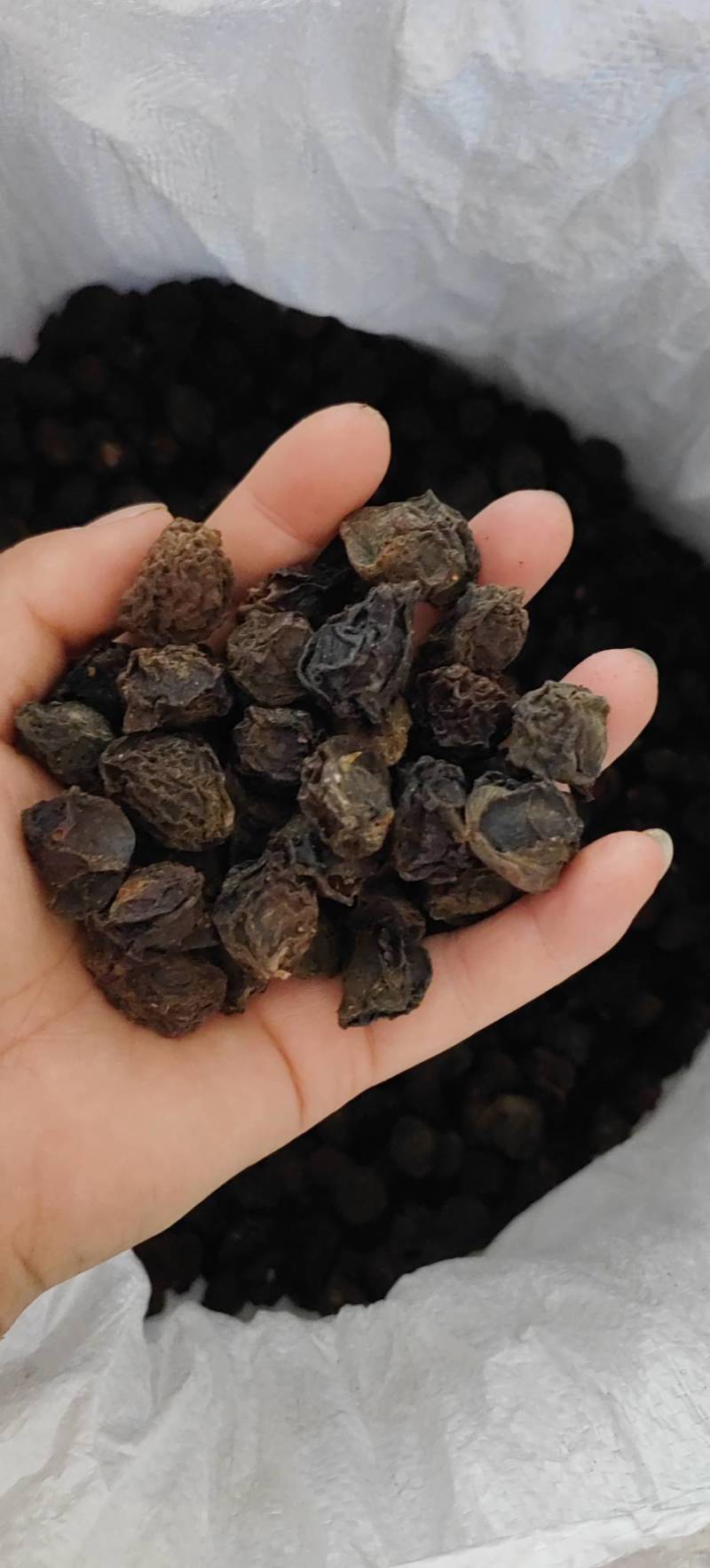 乌梅产地直发一手货源，质量保证，量大从优，欢迎选购