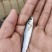 淡水银鳕鱼是一种营养丰富的鱼。淡水银鳕鱼苗
