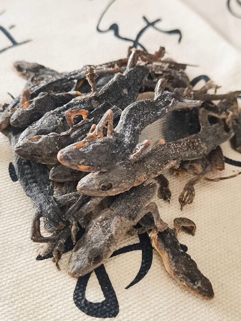 壁虎安宫天龙