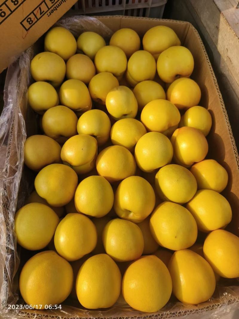 各种桃子品种