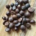 大量现货供应优质山茶籽，湖北小籽油质好