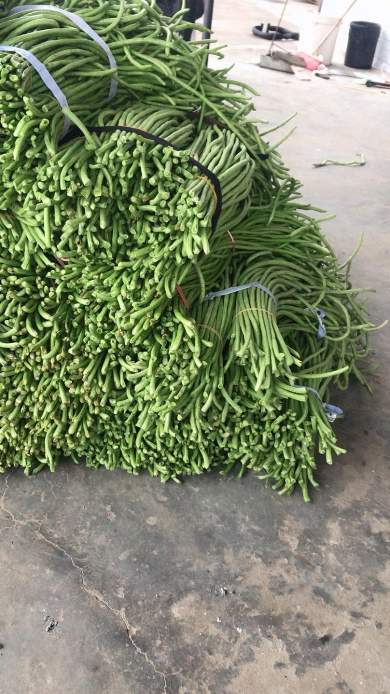 长豆角