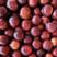 澳洲红李子紫琥珀李子大量上市产地直供优质货源