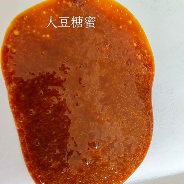 大豆糖蜜，干物质55以上，#发酵料#养殖基地