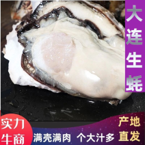 【推荐】大连生蚝《冷水生蚝》现捞现发，满壳满肉肉质肥美