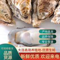 大连生蚝满壳满肉现捞现发规格齐全常年鲜货应