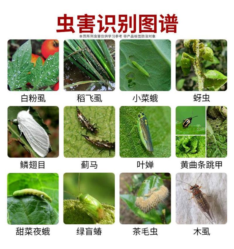 26%联苯菊酯啶虫脒呋虫胺白粉虱蓟马跳甲水稻稻飞虱农药