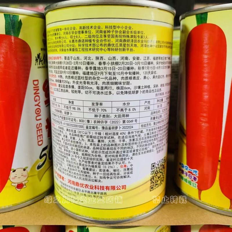 红光500杂交胡萝卜种子春秋两用红色胡萝卜种子秧矮根红