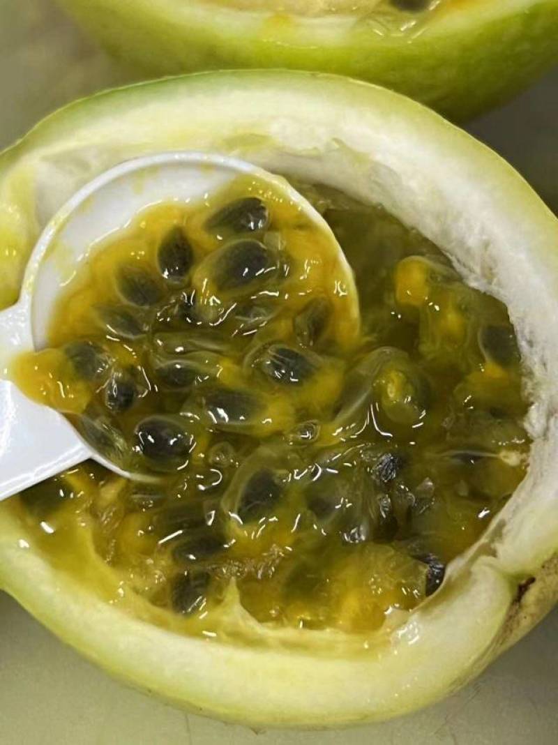 【推荐】海南纯甜钦密9号百香果，大量供应，产地发货，欢迎