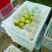 丁香梨，蜂糖梨，香蜜梨。