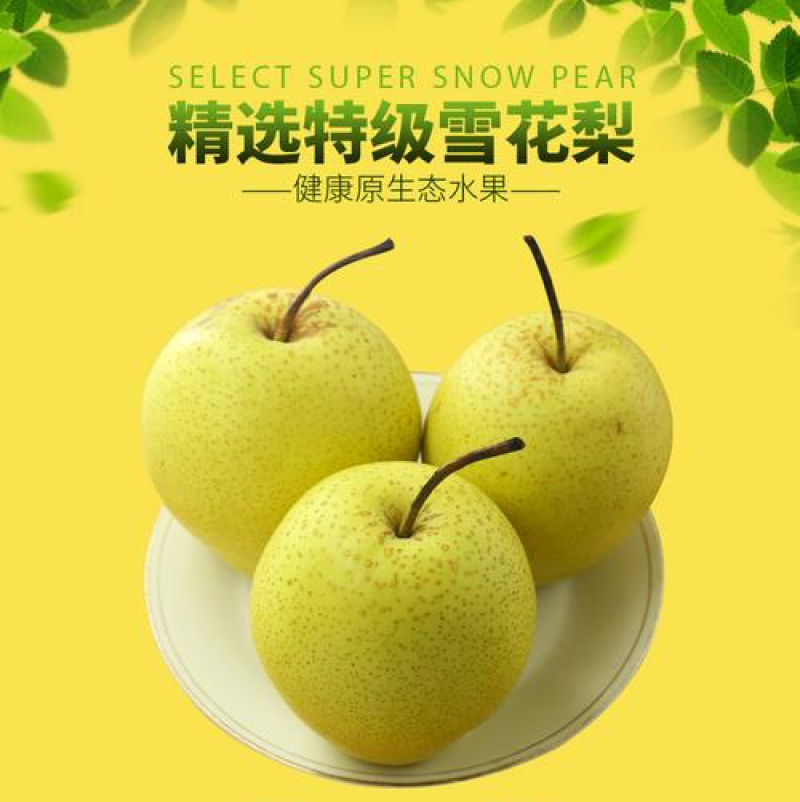 雪花梨云南雪花梨脆甜多汁产区直供保质保量诚信经营