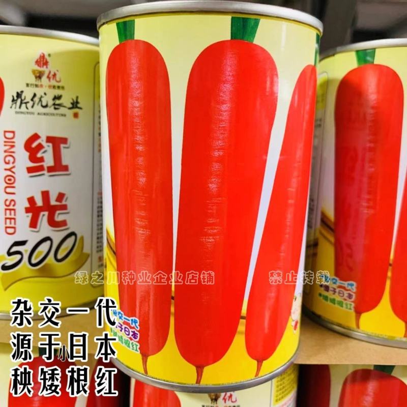 红光500杂交胡萝卜种子春秋两用红色胡萝卜种子秧矮根红