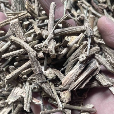 中药材批发千金藤产地直售批发价格店铺有千种药材