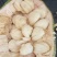 【实力推荐】奶白尖蜜拉产地直发视频看货