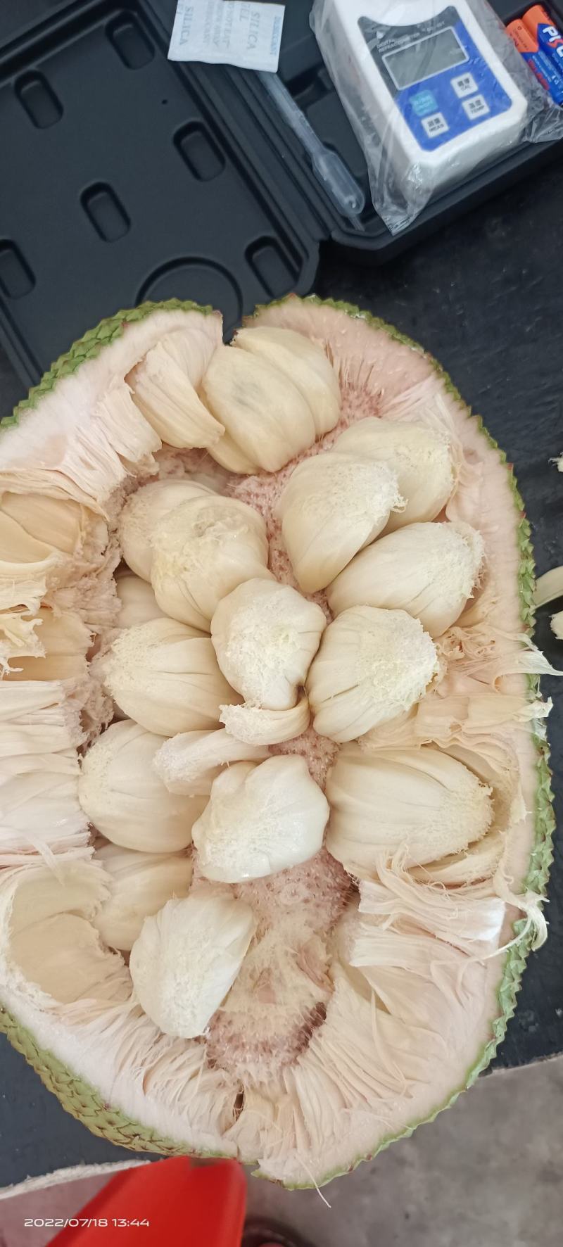 【实力推荐】奶白尖蜜拉产地直发视频看货