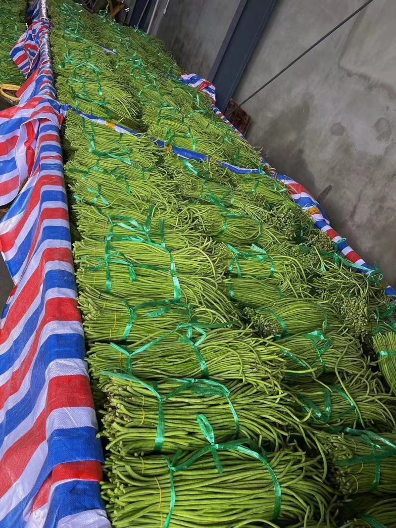 精选长豆角，豇豆，泡水，打冷，现摘现发支持视频现场看货，