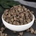 猫抓草中药材正品猫爪草泡茶水猫瓜草新鲜批发夏枯草车前猫抓