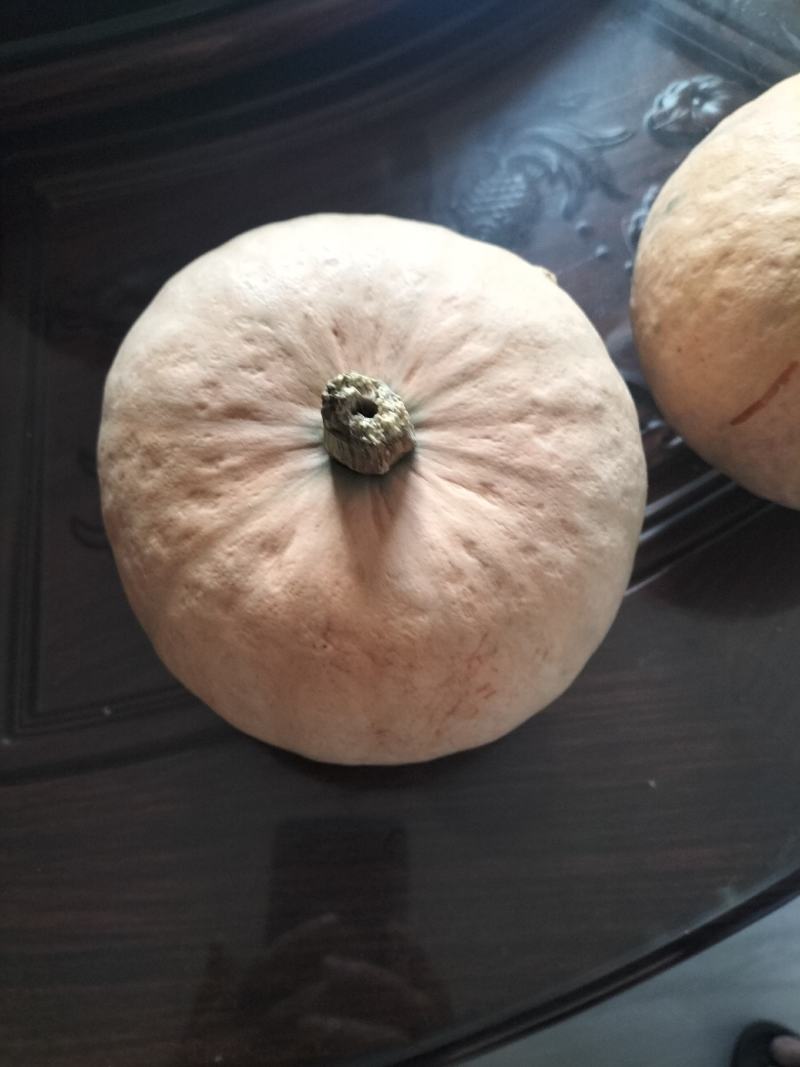 芋头味的冬瓜
