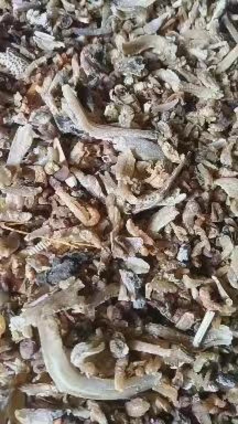 鱼干
