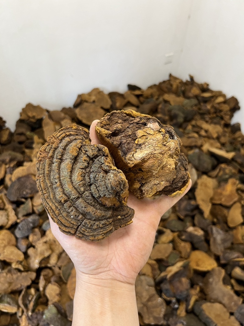 紫油黄【大货批发】细纹好货价格优势形状好有量有价欢迎来聊