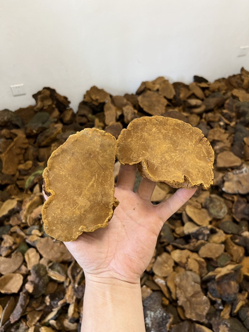 紫油黄【大货批发】细纹好货价格优势形状好有量有价欢迎来聊