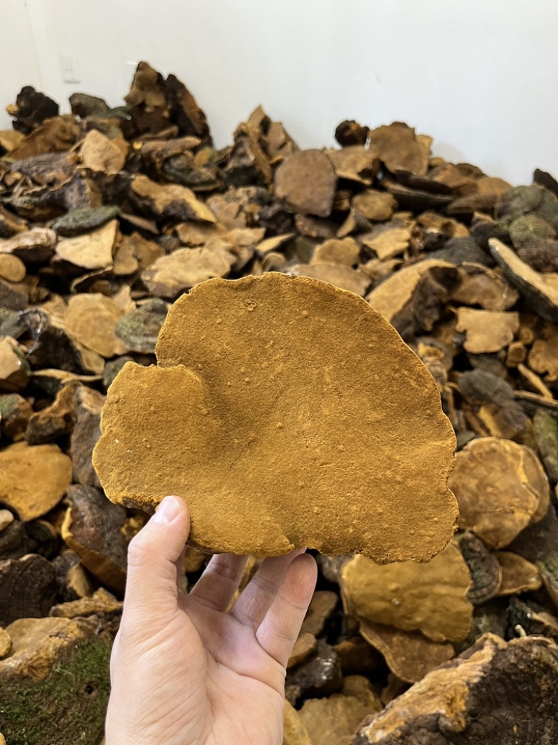 紫油黄【大货批发】细纹好货价格优势形状好有量有价欢迎来聊