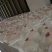 【套袋】安徽萧县突围白桃精品上市，可供商超，可视频看货