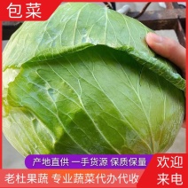 包菜扁包菜平包京丰奥琪娜高山种植一条龙服务