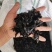竹蜂，全干无糖无油