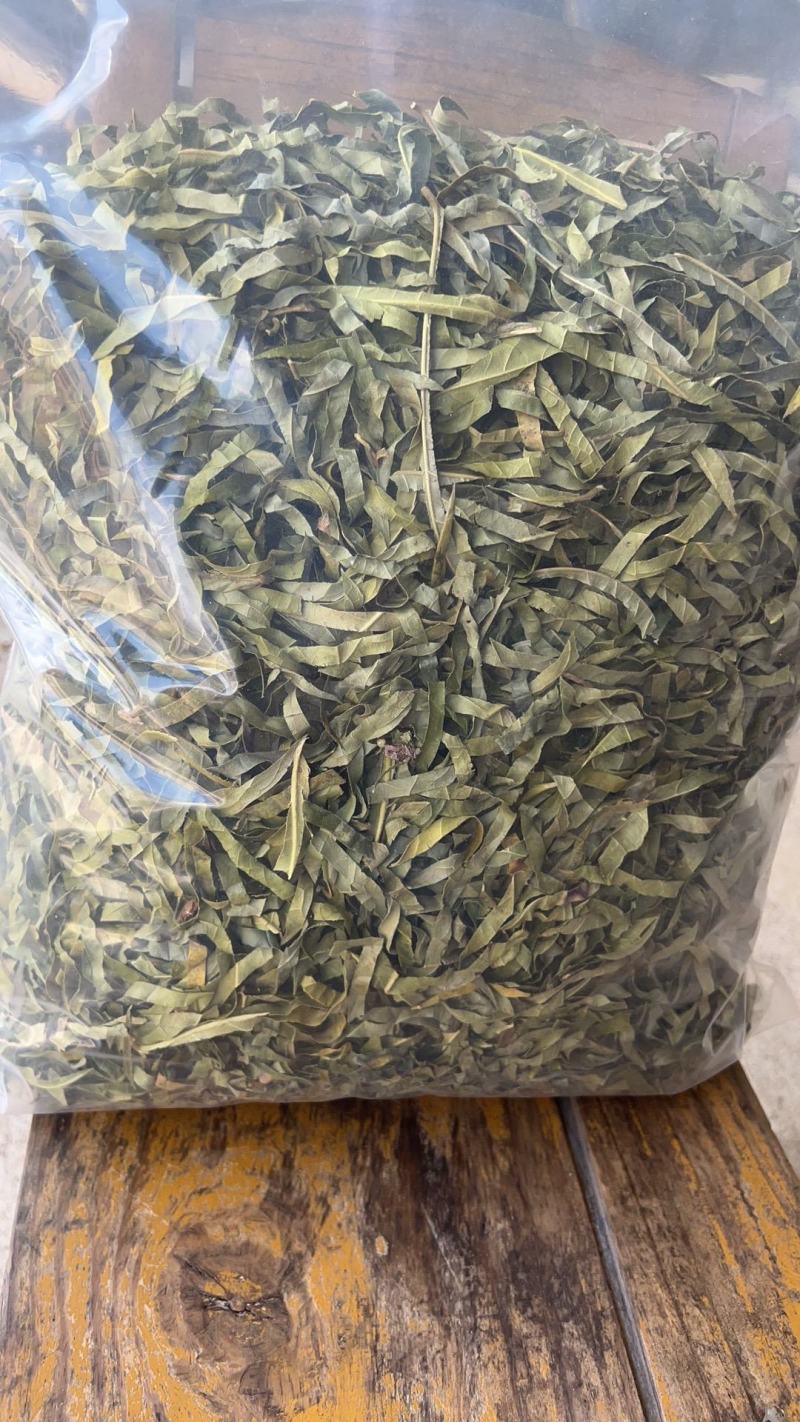 【金花茶干叶子】种植场源头发货无中间商货源批发零售