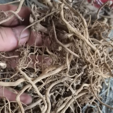 贵州中药材土牛膝牛克膝干净无杂产地直发