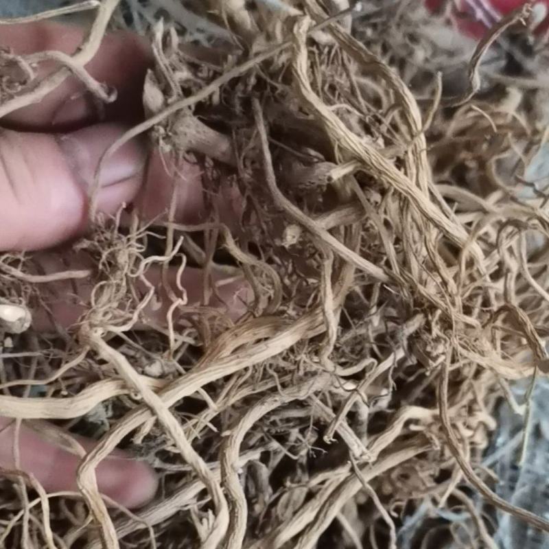 贵州中药材土牛膝牛克膝干净无杂产地直发