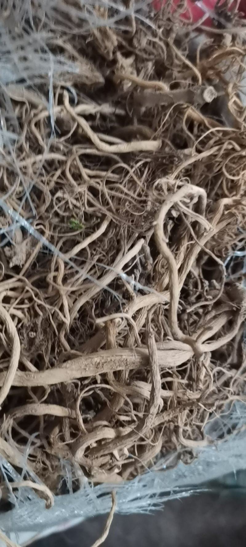 贵州中药材土牛膝牛克膝干净无杂产地直发