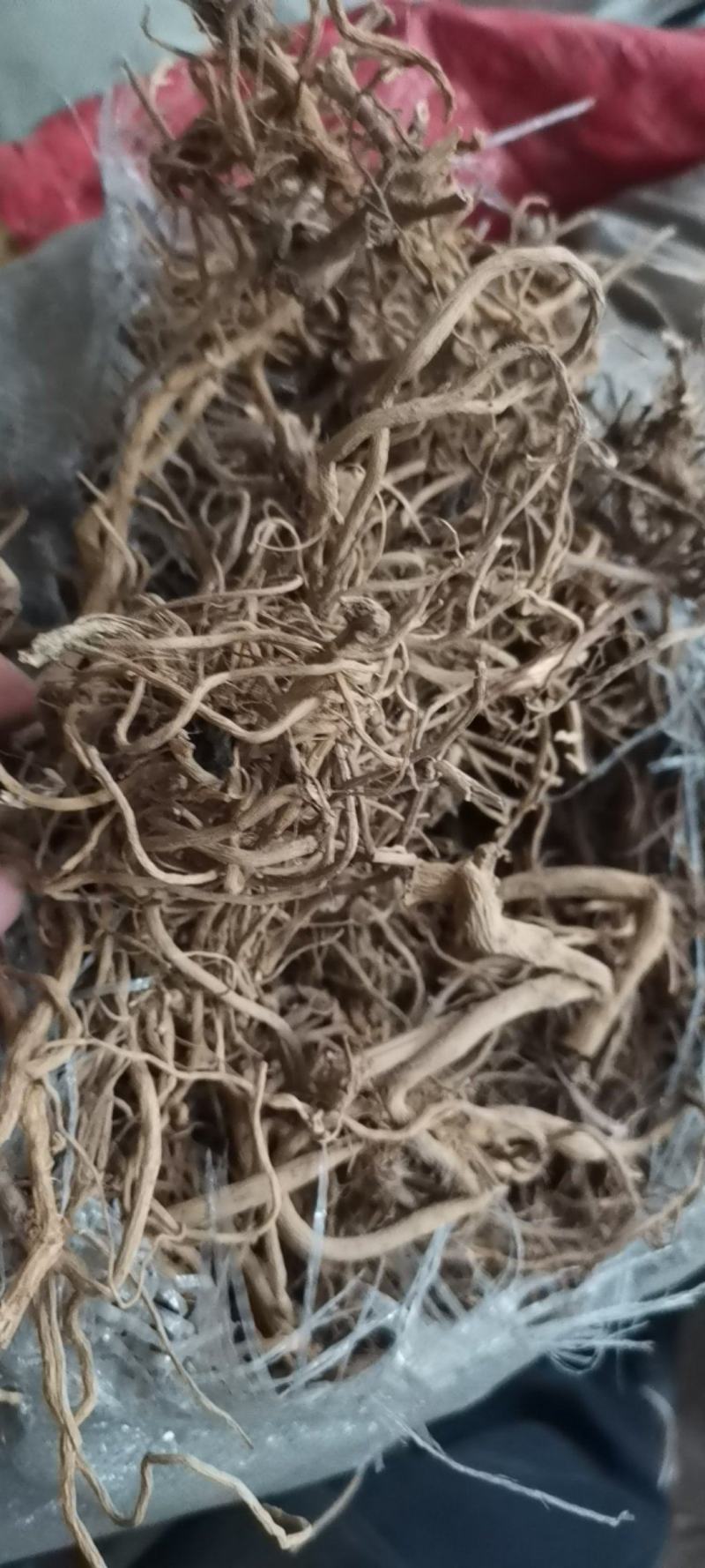 贵州中药材土牛膝牛克膝干净无杂产地直发