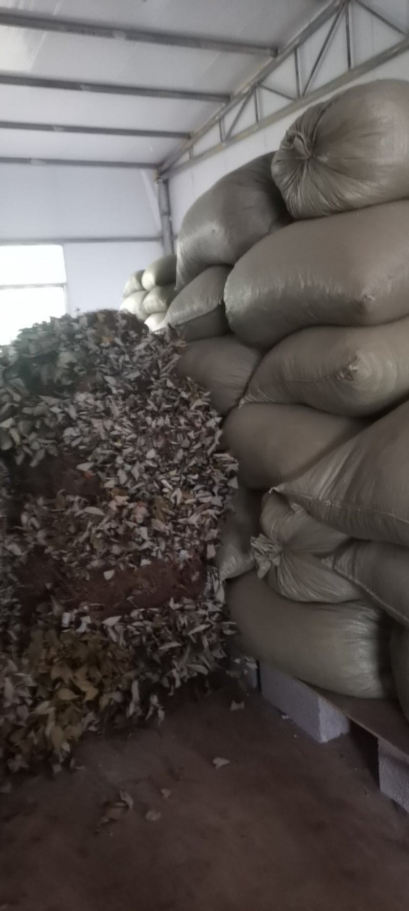 贵州中药材土牛膝牛克膝干净无杂产地直发