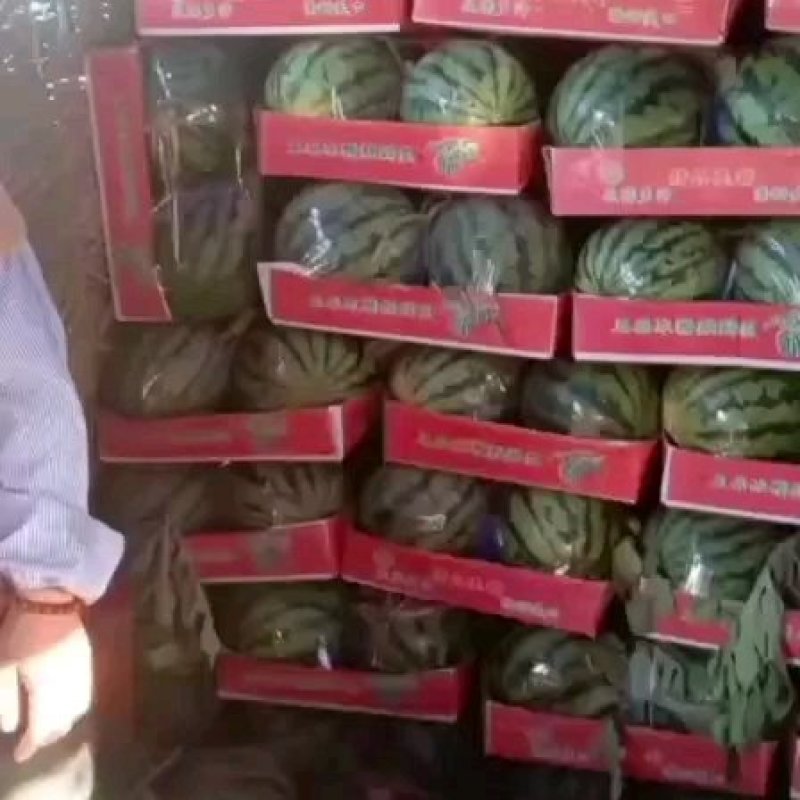 开封西瓜美都大量供应对接全国客商采购代发