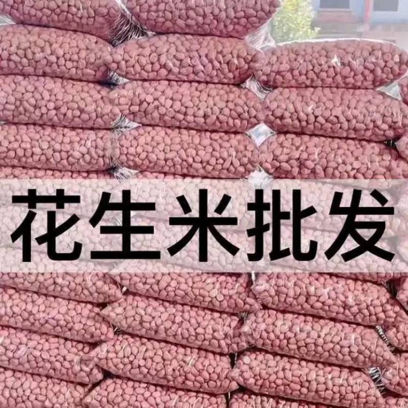22年新鲜花生米5斤沈阳白沙中颗选小粒榨油生的批发厂家产