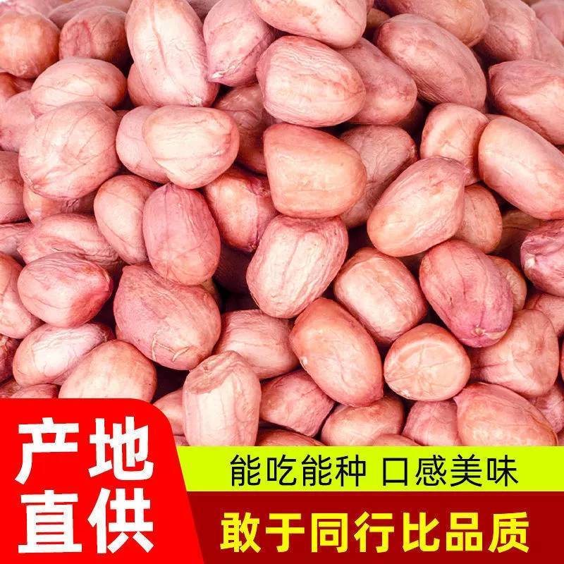 22年新鲜花生米5斤沈阳白沙中颗选小粒榨油生的批发厂家产