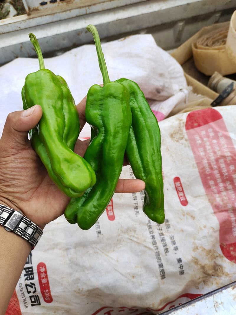 泡椒