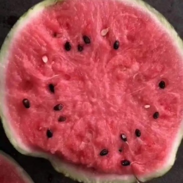 精品美都西瓜8424麒麟瓜江苏西瓜基地大量供应质优价廉