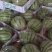 精品美都西瓜8424麒麟瓜江苏西瓜基地大量供应质优价廉