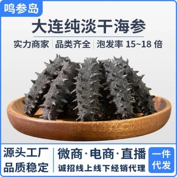 大连纯淡干海参干货批发500g深海底播辽刺参散装水产海鲜